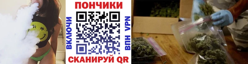 МЕТАДОН Мглин
