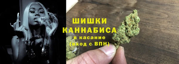стаф Богородск