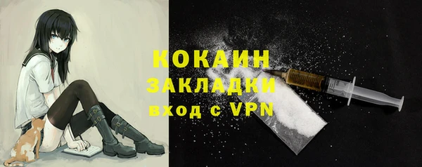 дурь Богданович