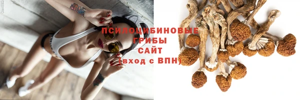 дурь Богданович