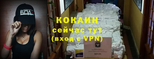 дурь Богданович