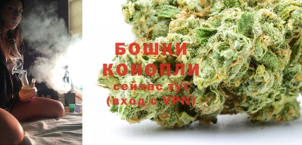 дурь Богданович