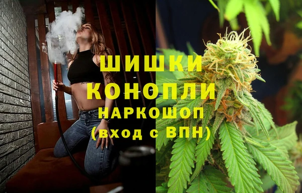 стаф Богородск